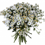 Букет "Нежный Сонет"